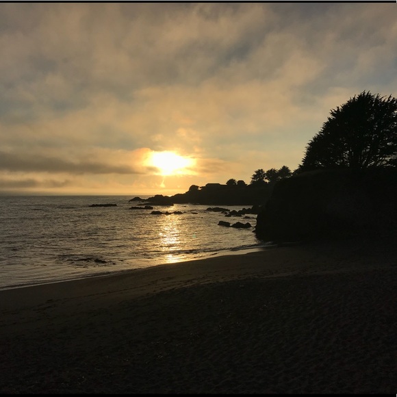 Meet your Posher, Emily - Picture 1 of 1